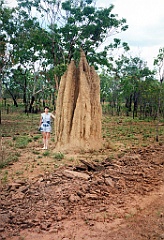 2000 - Australie 249T